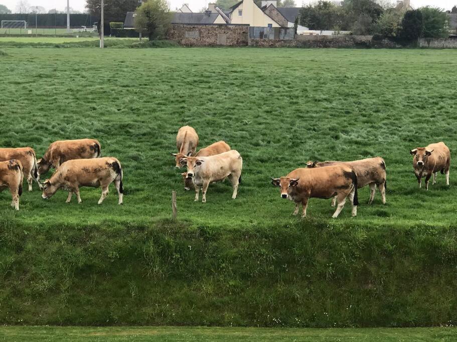 Ker Joseph : Longere Bretonne Renovee Hébergement de vacances